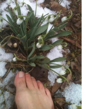 vive le barefooting - Page 2 4_w279_h372_s1_PR15_PCffffff