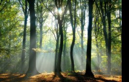 This Weekend New Moon Psychic Fair Holistic Studies Institute