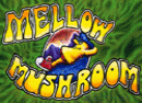 Mellow Mushroom - Asheville