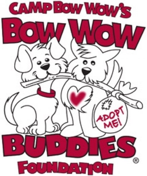 camp bow wow