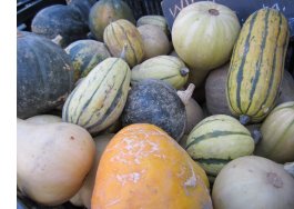 winter squashes