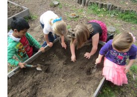 playing in garden dirt