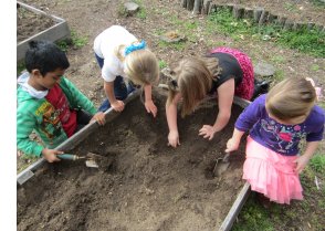 preschool garden