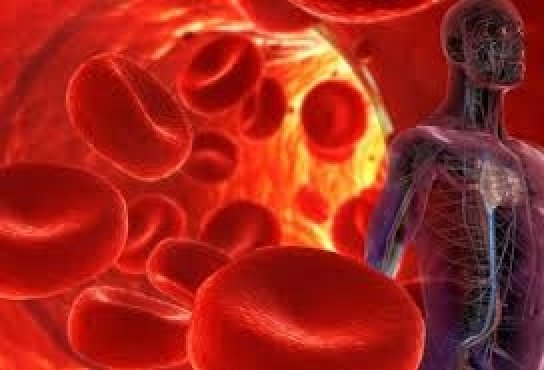 The Importance of Water to Blood Pressure