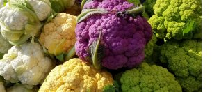 cauliflower