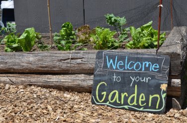 Welcome to your Garden