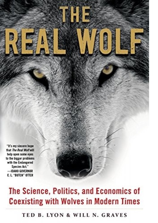 the real wolf