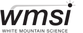 WMSI logo