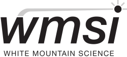 WMSI logo