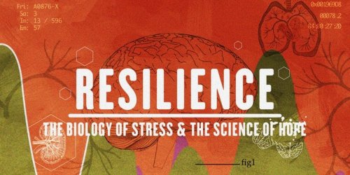 Resilience logo