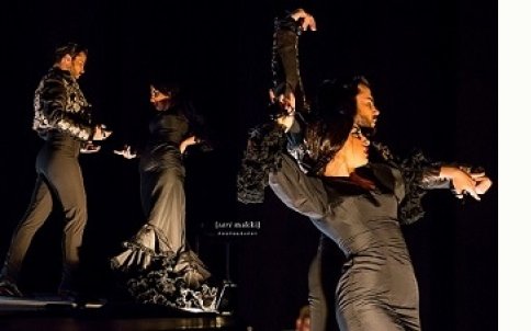 Vida Flamenca on VIMEO