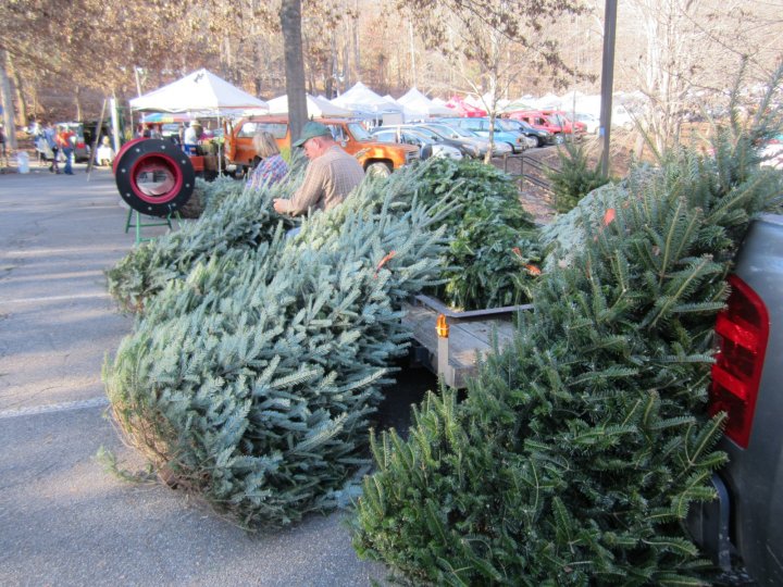 Holiday Markets in December + Upick Christmas Trees ASAP (Appalachian Sustainable