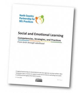 NCP4SEL guidance document link