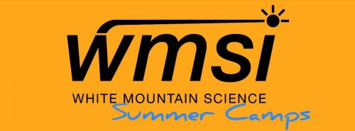 WMSI summer camps