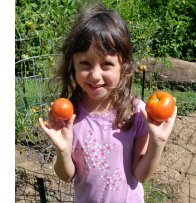 girl with tomatoes