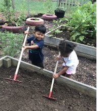 kids in garden