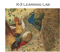 K-3 lab image