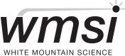 wmsi logo