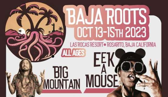 Baja Roots Fest in Baja 2023