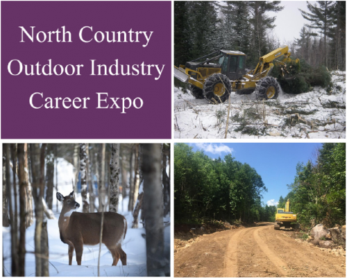 expo cover image