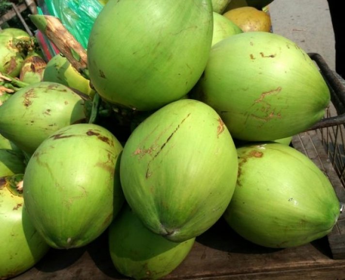 CoconutWater-5 Antioxidants