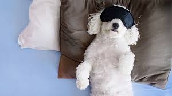 Rest