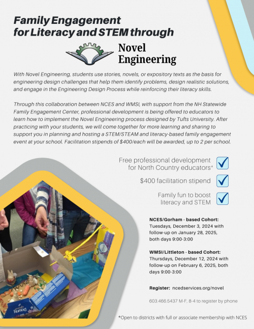 Novel engineering flyer image