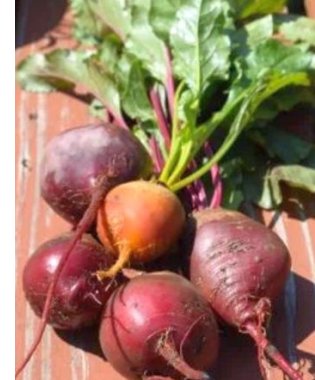 beets