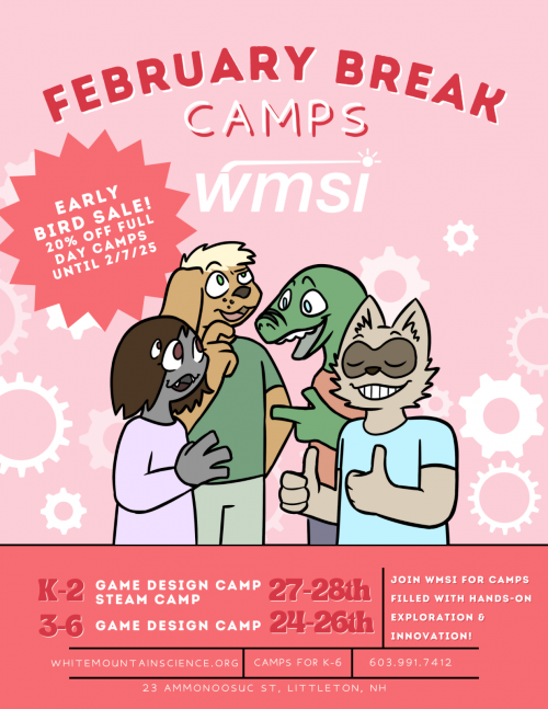 WMSI Feb camps