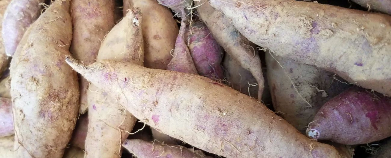 sweet potato