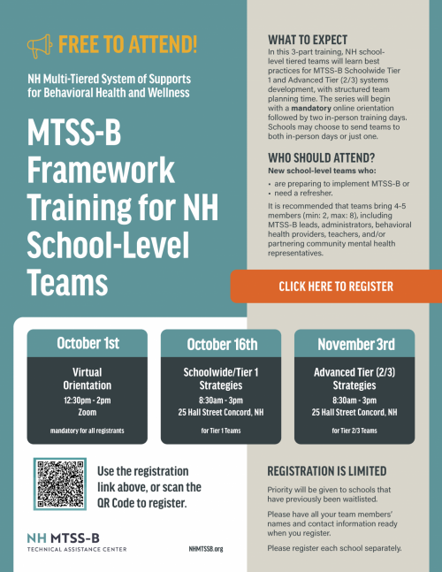 flyer for mtss-b