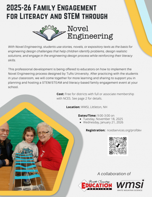 flyer for Novel Engineering