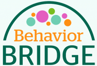 behavior bridge logo