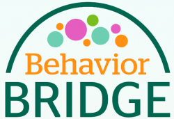 behavior bridge logo