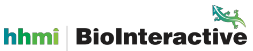 hhmi logo